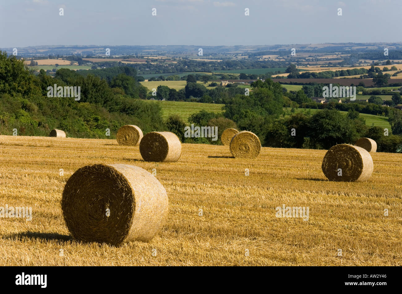 England der Midlands Gloucestershire COTSWOLDS Blick von den Cotswold Weg Langstrecken Fußweg chipping Campden Ernte Stockfoto