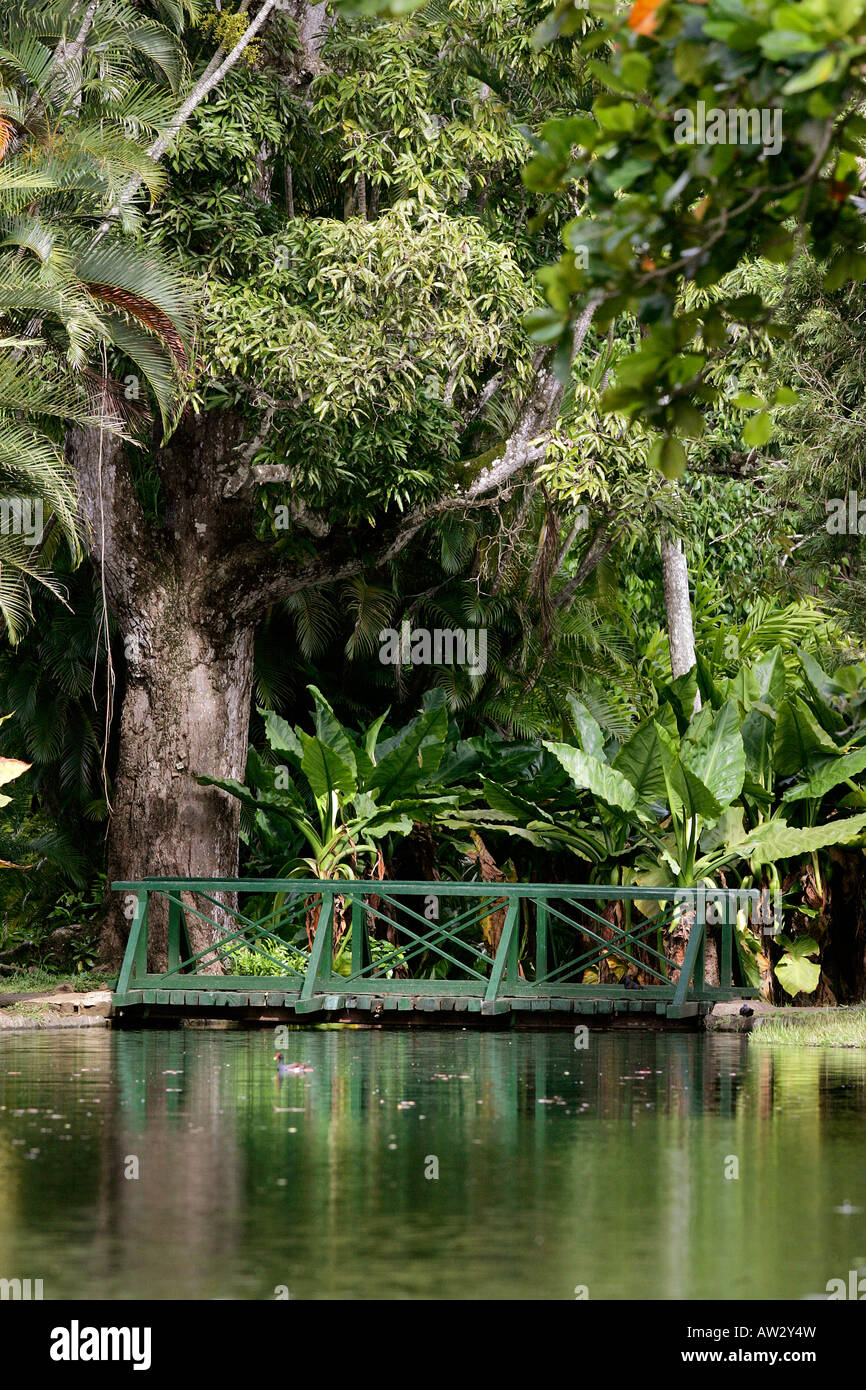 Brücke und Teich, Sir Seewoosagur Ramgoolam Botanical Gardens, Pamplemousses, Mauritius Stockfoto