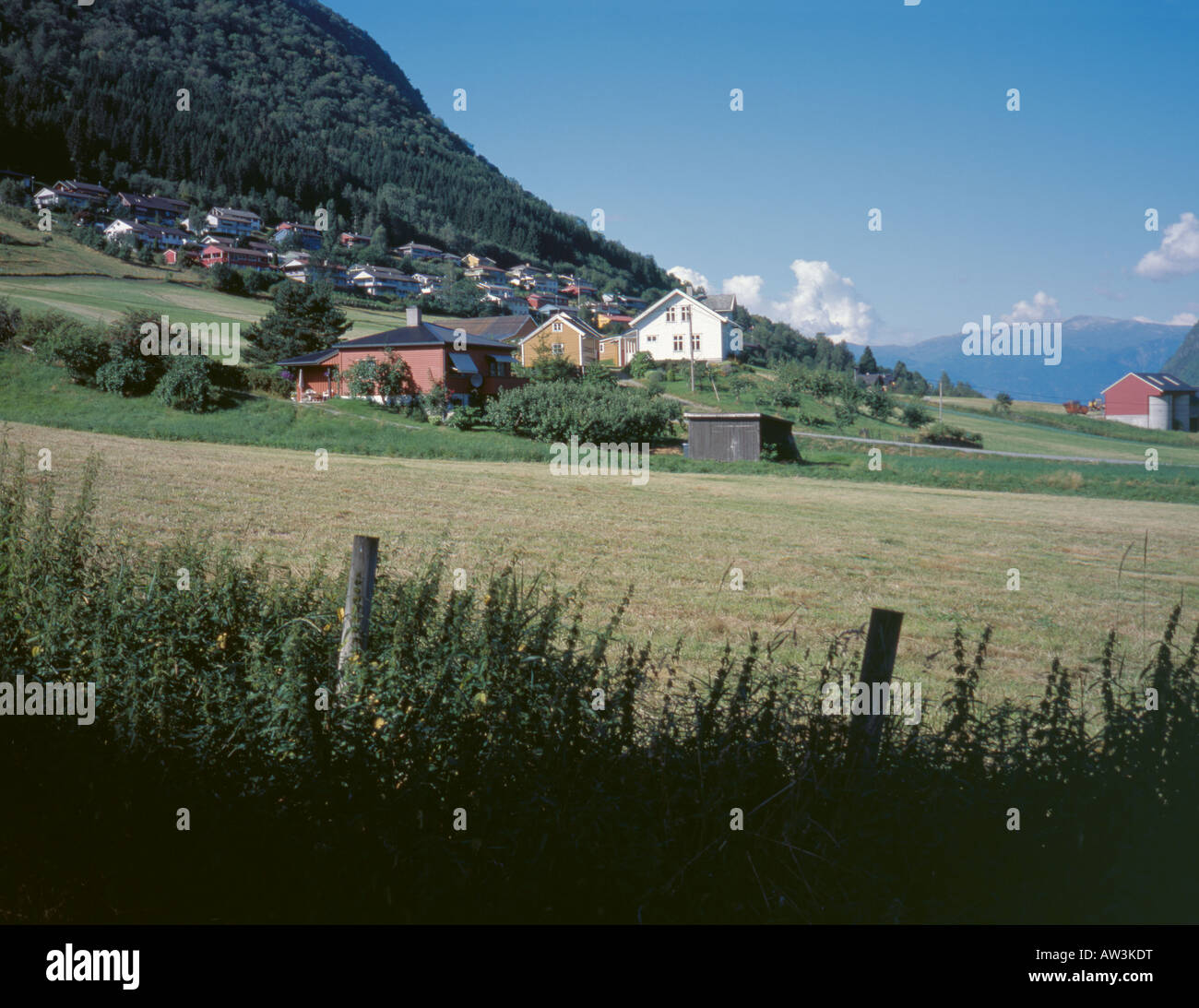 Häuser und die Landwirtschaft in der Nähe von Vik, sognefjord, Sogn og