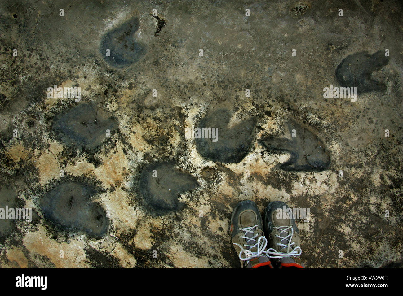 Dinosaurier-Fußspuren an Tambuc, Spanien. Stockfoto