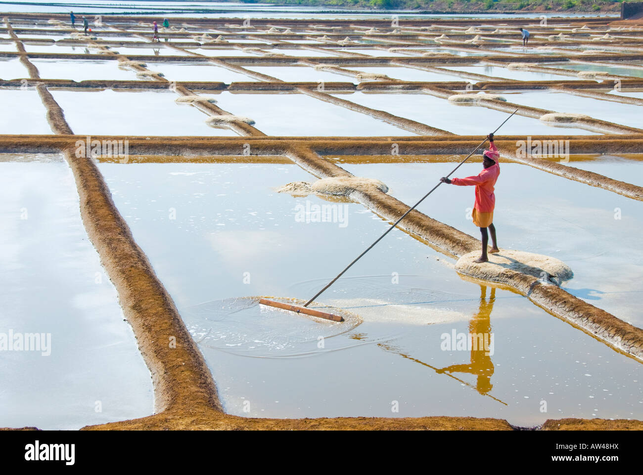 Ein Mann, sammeln von Meersalz aus einer Salzpfanne in Indien Stockfoto