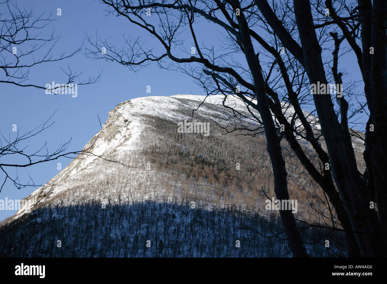 Alter Mann des Berges Profils von Greenleaf Trail in den Wintermonaten befindet sich in der White Mountains New Hampshire Stockfoto