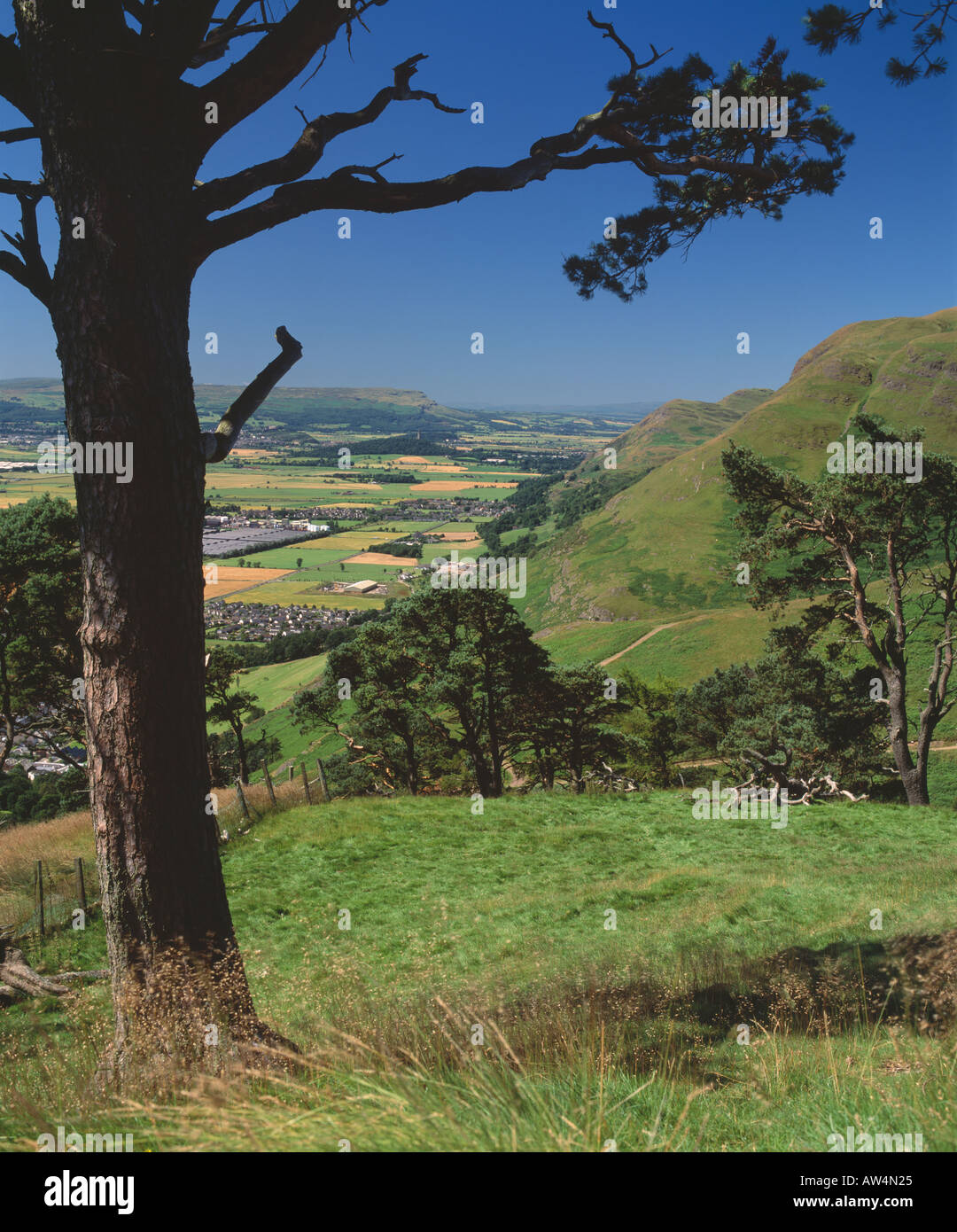 Ochils, Clackmannanshire, Schottland, Großbritannien. Blick vom Holz-Hügel oberhalb von Alva westwärts entlang der geologischen Bruchlinie Ochil Stockfoto
