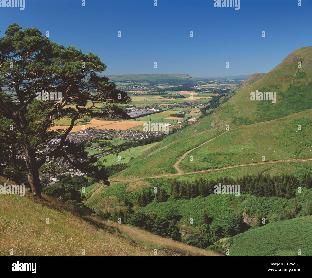 Ochils, Clackmannanshire, Schottland, Großbritannien. Blick vom Holz-Hügel oberhalb von Alva westwärts entlang der geologischen Bruchlinie Ochil Stockfoto