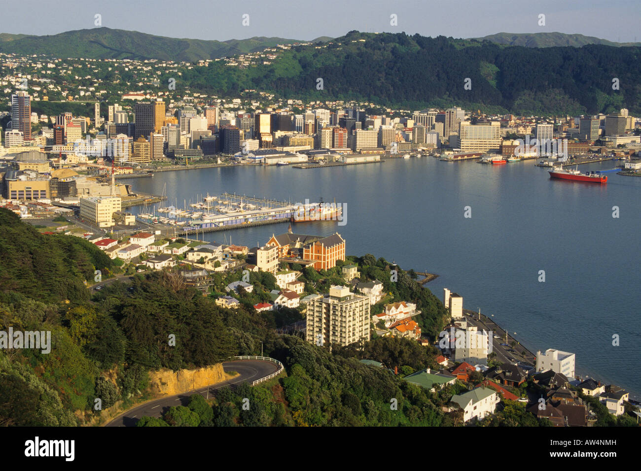 Neuseeland Nord Insel Wellington morgendliche Aussicht auf Stadt und Hafen von Mount Victoria Stockfoto