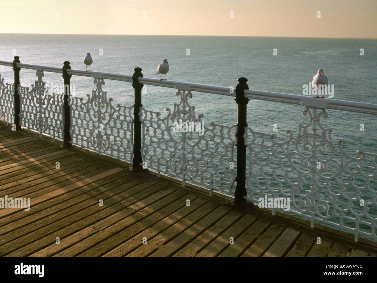 Möwen thront auf dem Geländer der Pier von Brighton, East Sussex, UK Stockfoto