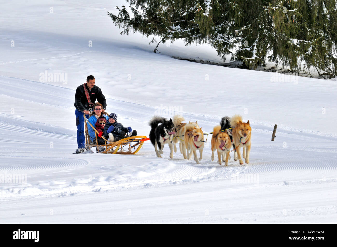 Sledge Winter Switzerland Stockfotos und -bilder Kaufen - Alamy