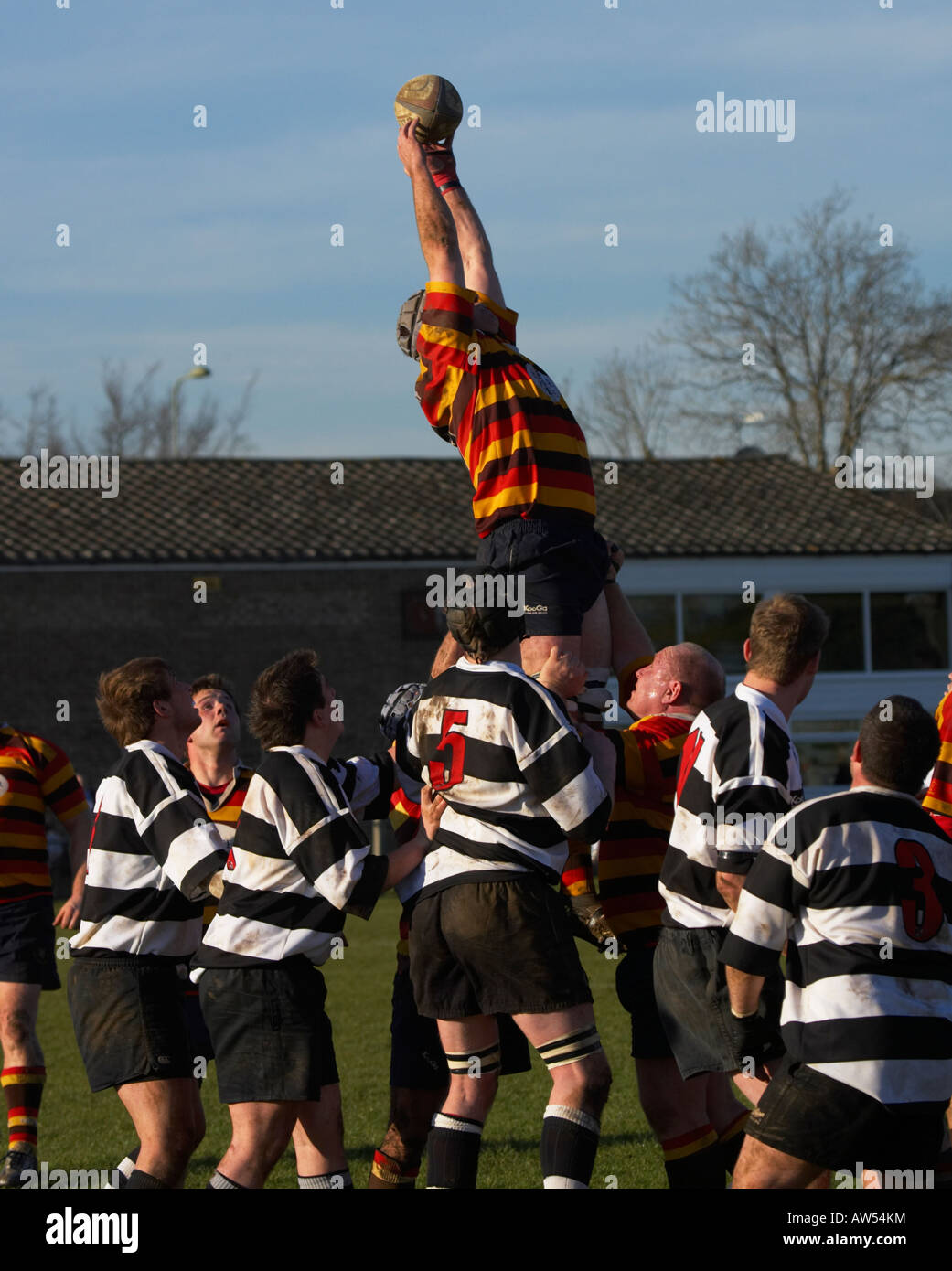 Bicester Rugby-Spieler in einem Line-Ausgang Stockfoto