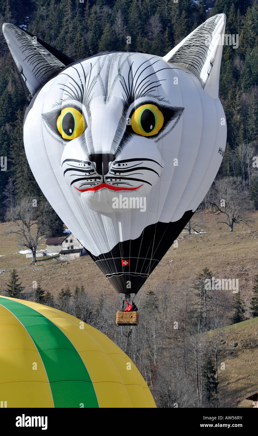 Katze und Ballon Stockfotos und -bilder Kaufen - Alamy