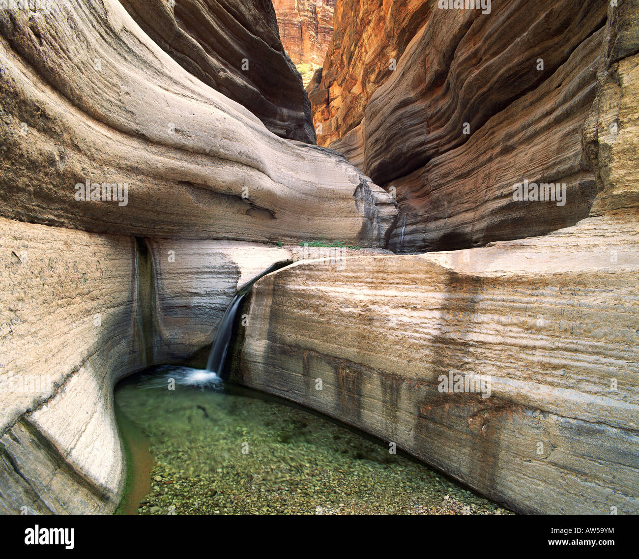 Kalkstein Narrows des nationalen Canyon Grand Canyon National Park Stockfoto