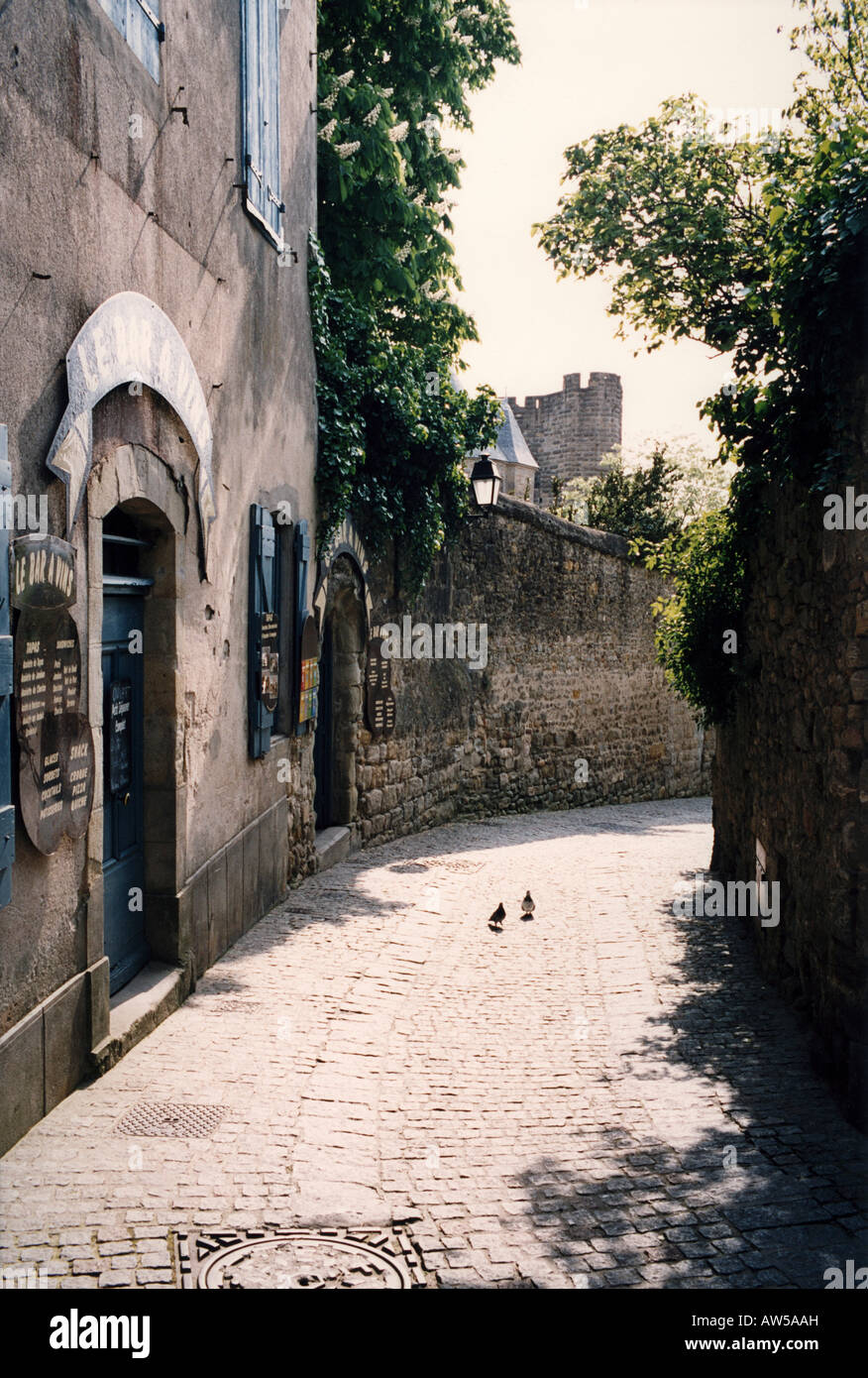 Gasse mit Tauben und Weinbar in Carcassone Frankreich Stockfoto