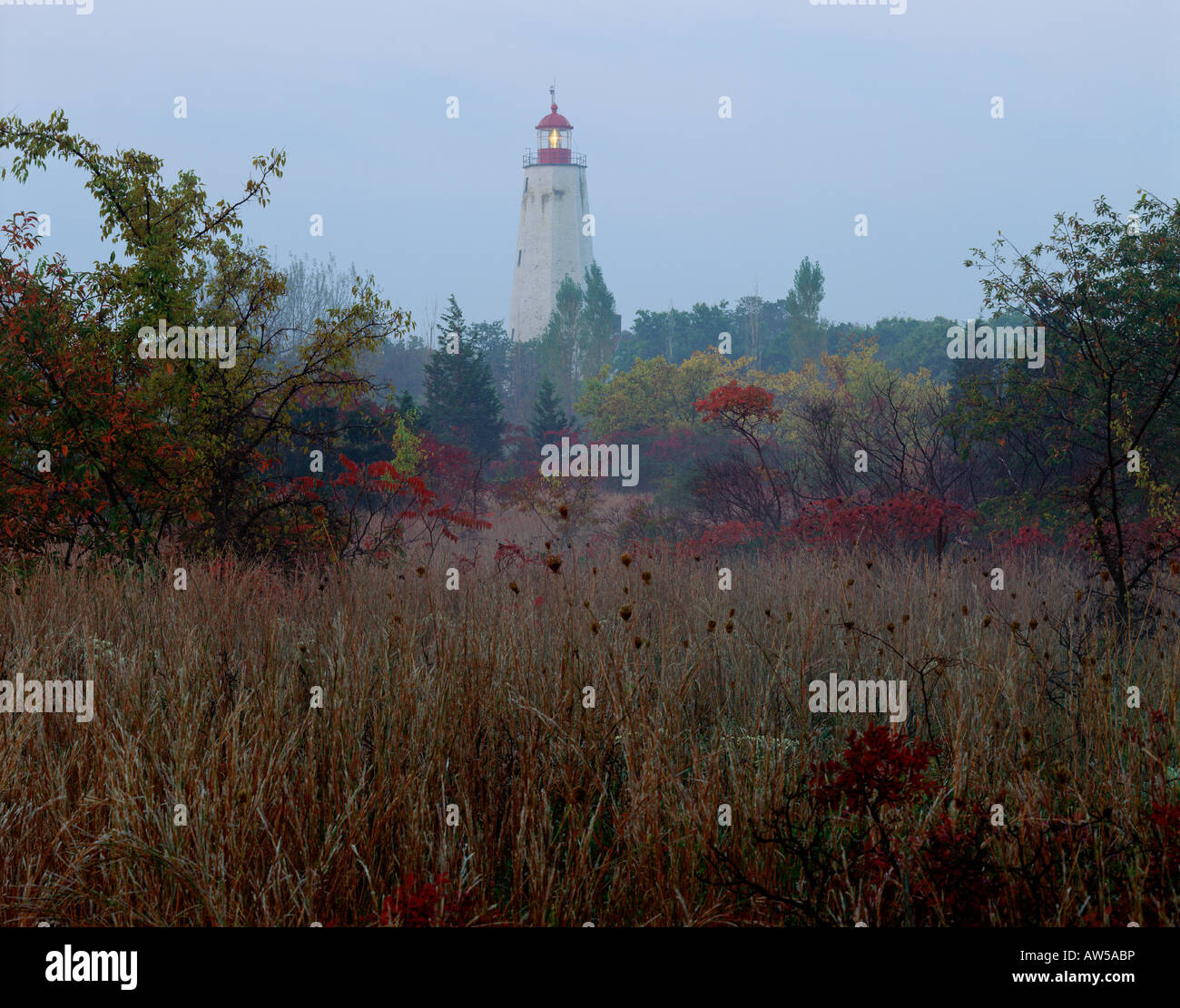 Sandy Hook Licht, Gateway National Recreation Area New Jersey Stockfoto