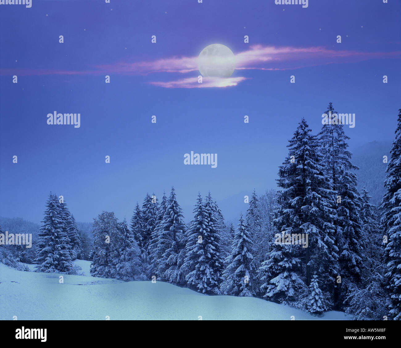 DE - Bayern: Winter in der Nähe von Wamberg Stockfoto