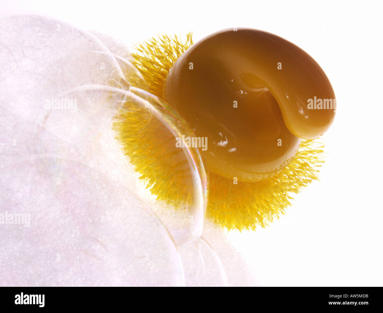 Gericht-Wäscher mit Seifenblasen Stockfoto