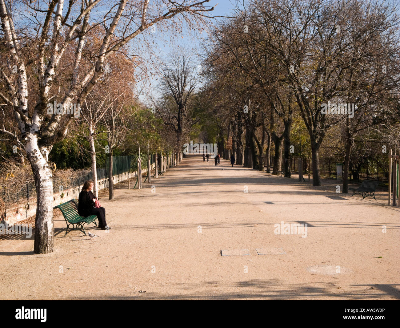 Frau ruht auf einer Parkbank in einer von Bäumen gesäumten Allee Stadtpark Jardin des Plantes Paris Frankreich Europa Stockfoto