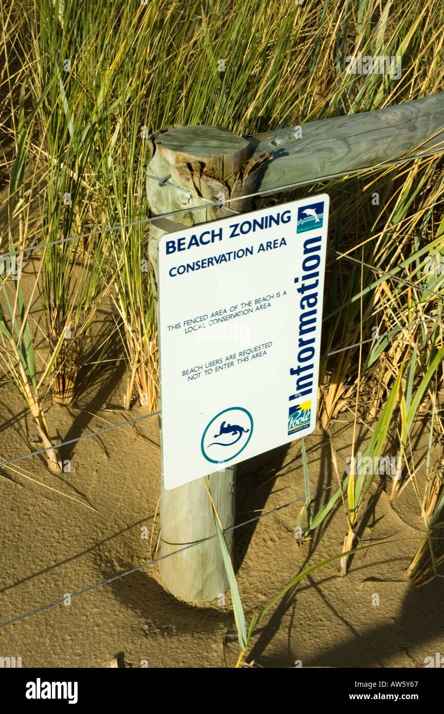 Melden Sie für Naturschutzgebiet, Erosionsschutz, Sandbanks Beach, Dorset, England, UK Stockfoto