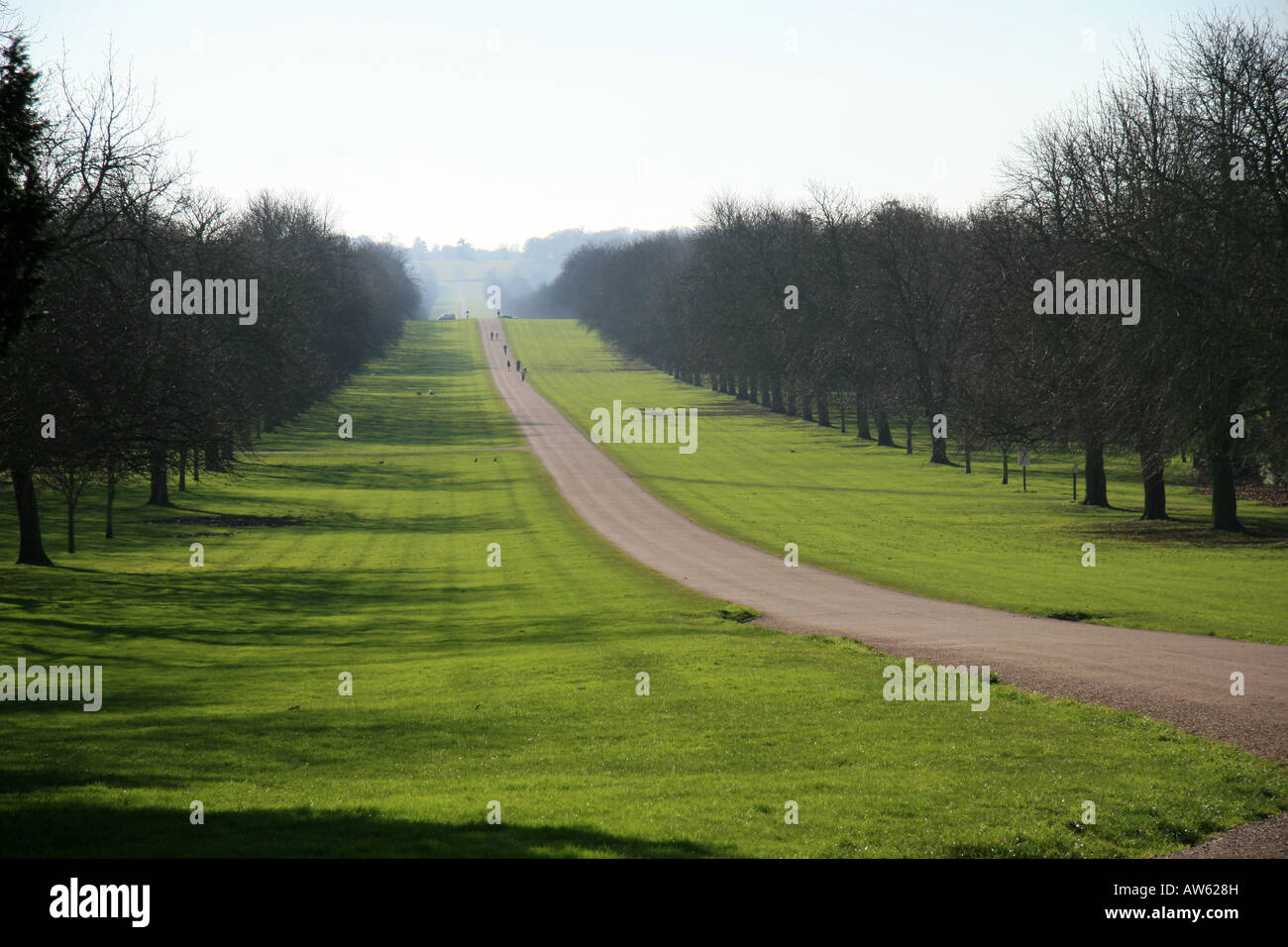 Long Walk, Windsor Great Park von George IV Gate gesehen. Stockfoto