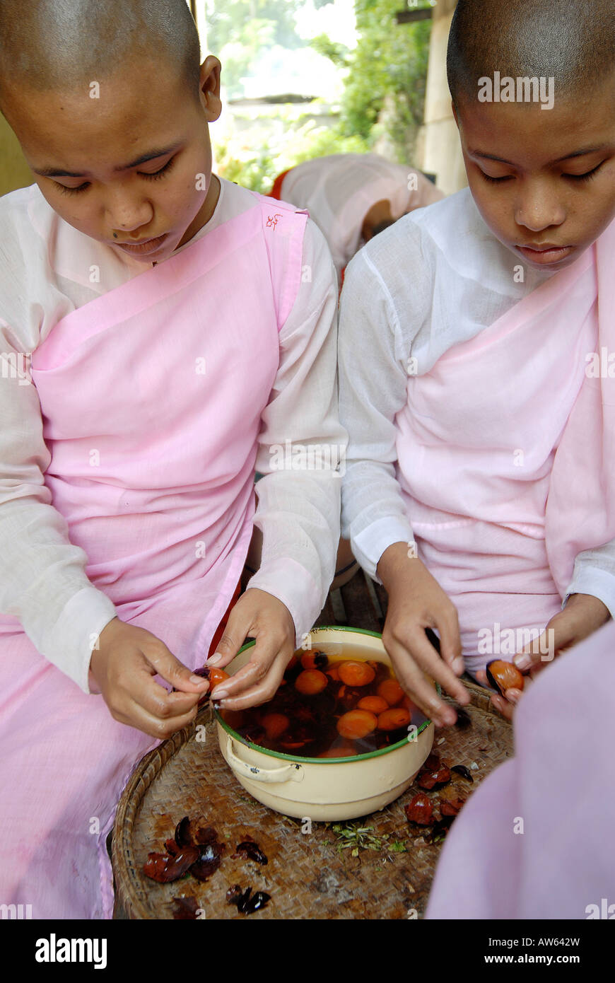 Buddhistische Nonnen bereiten Mittagessen Stockfoto