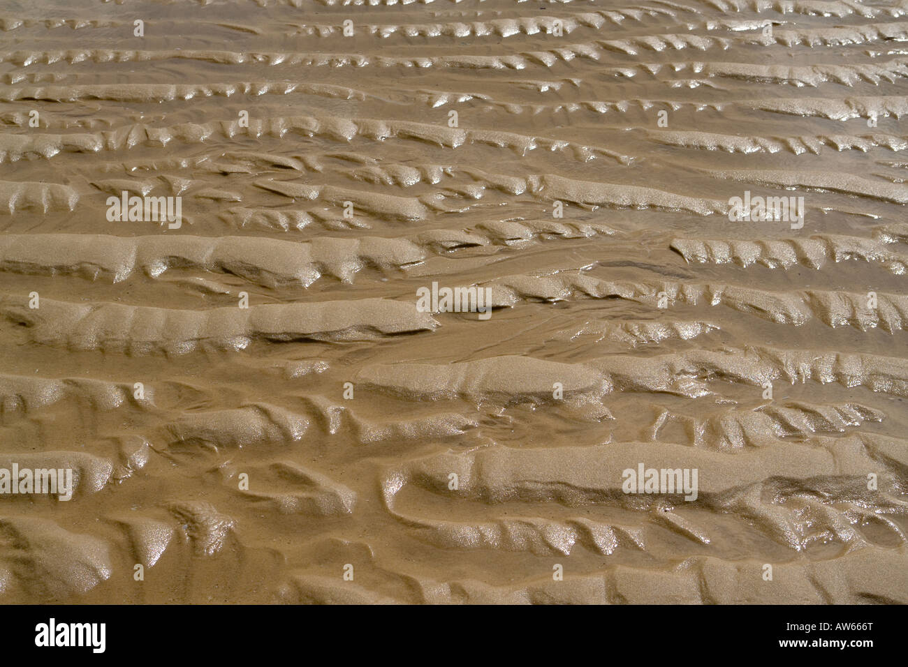 Muster am Strand Stockfoto