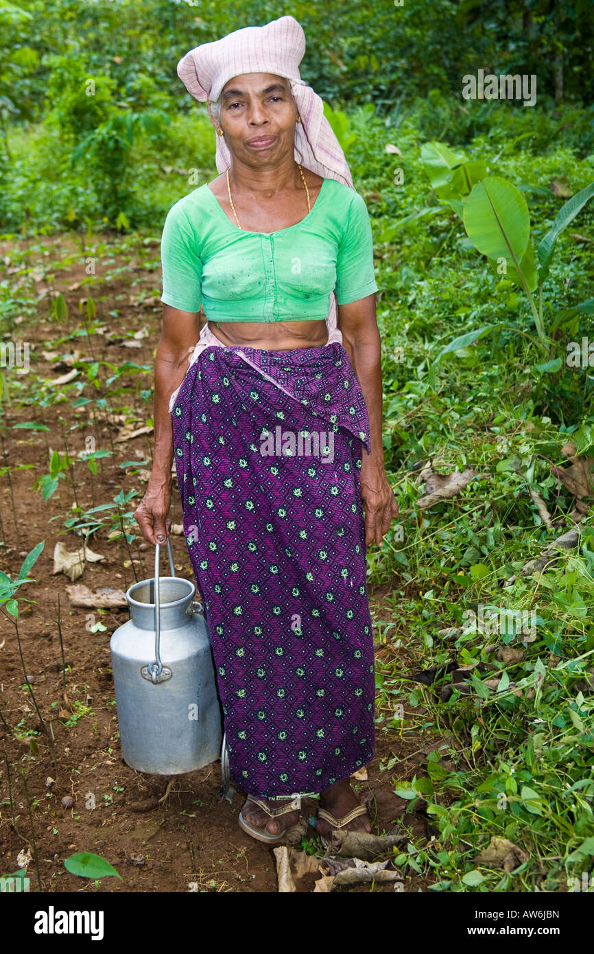 Dame mit Tee Urn, Mundackal Estate, Kothamangalam, Kerala, Indien Stockfoto