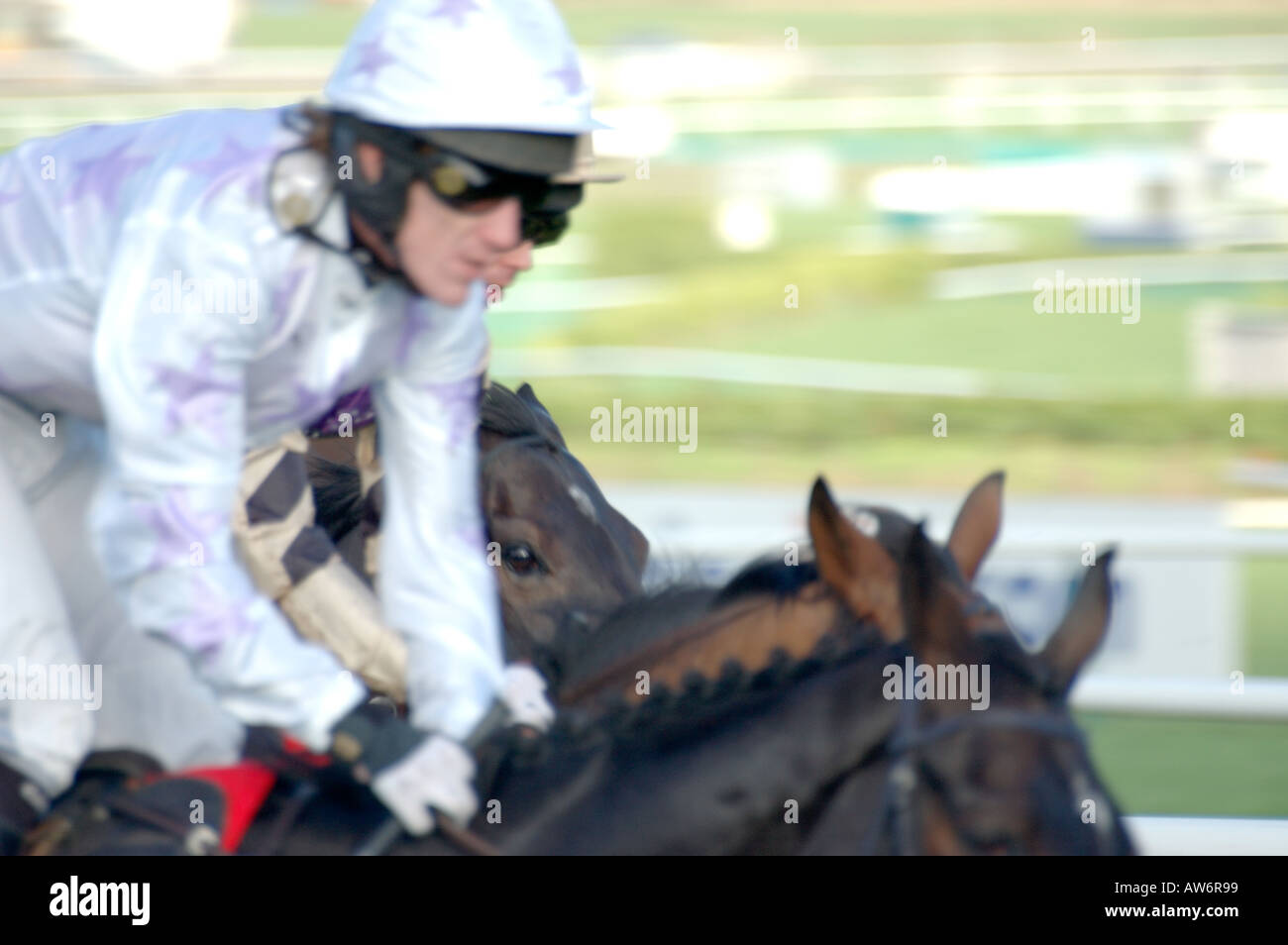 National Hunt-Pferderennen Stockfoto