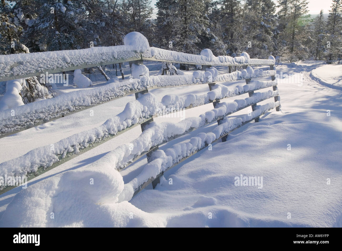 Winter in Saariselkä Nordfinnland Stockfoto