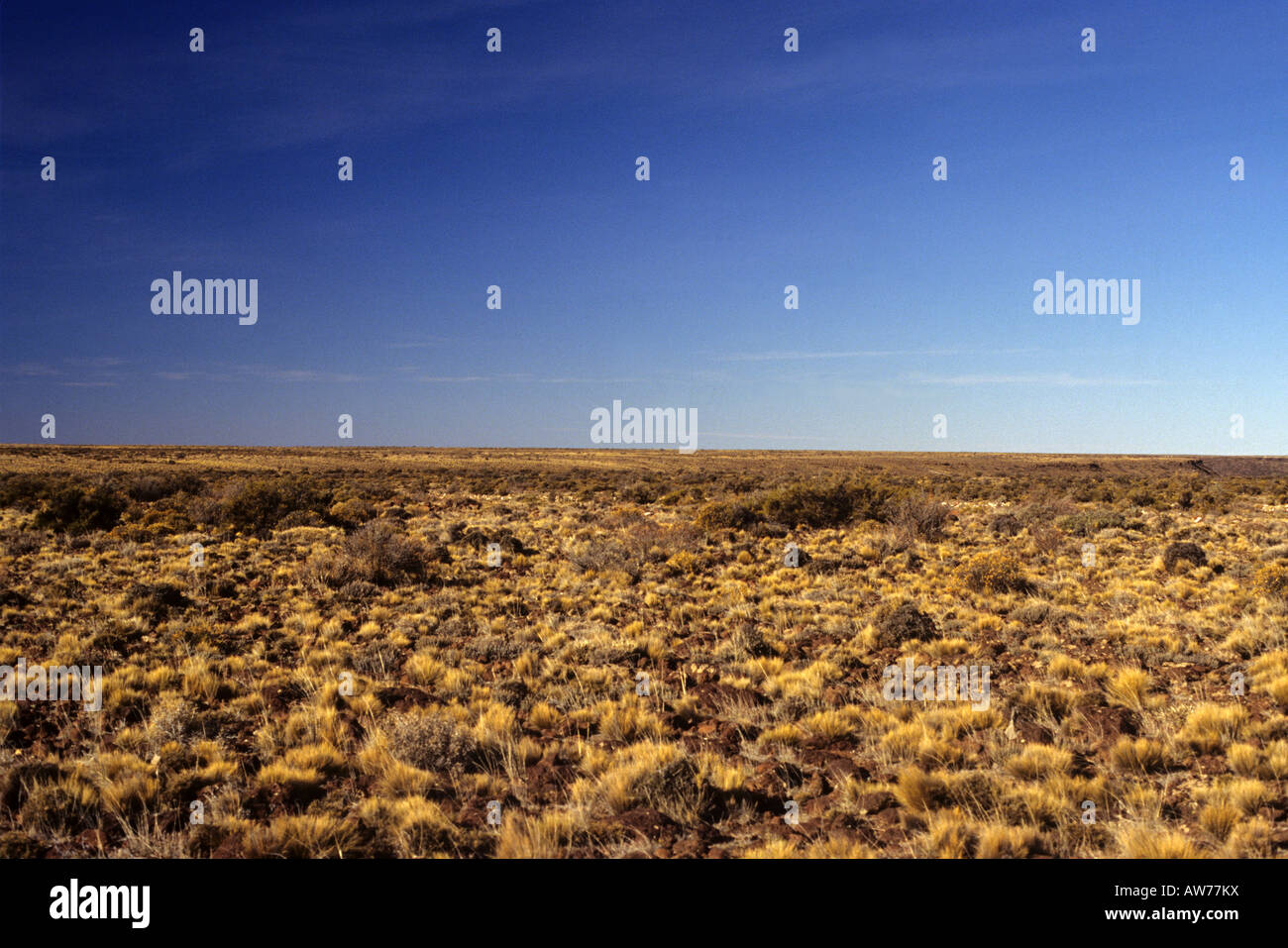 Pastos pastos pastizales Fotos und Bildmaterial in hoher Auflösung