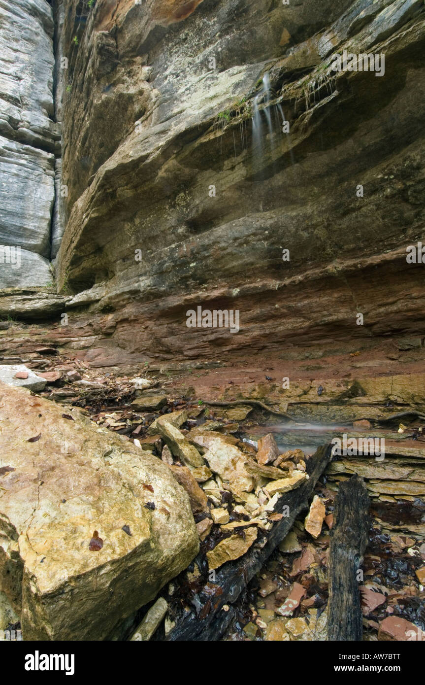Wasserfall in der Nähe der natürlichen Brücke Lost Valley Trail Buffalo National River-Arkansas Stockfoto
