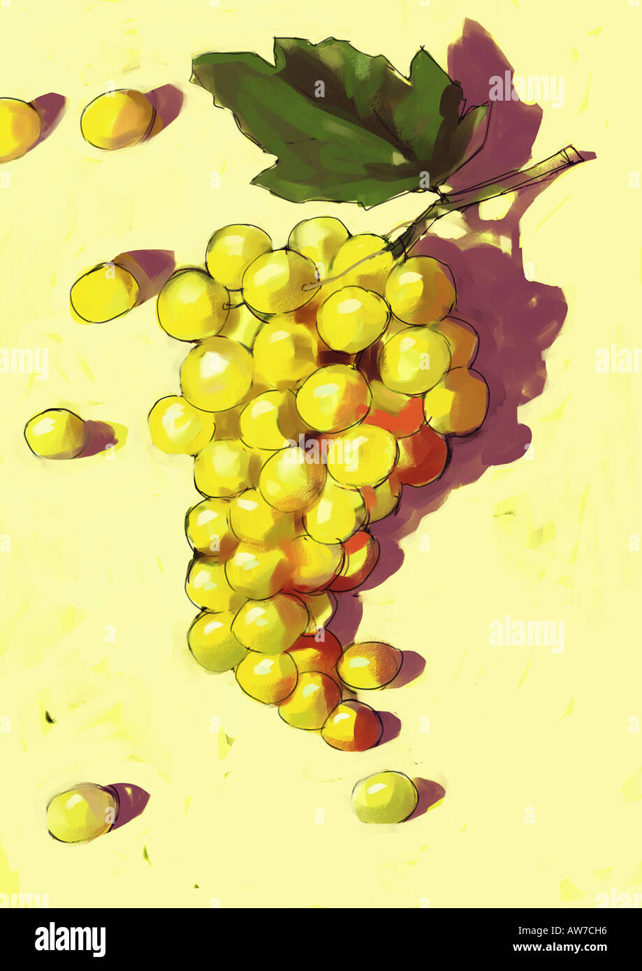 Weintraube Stockfoto