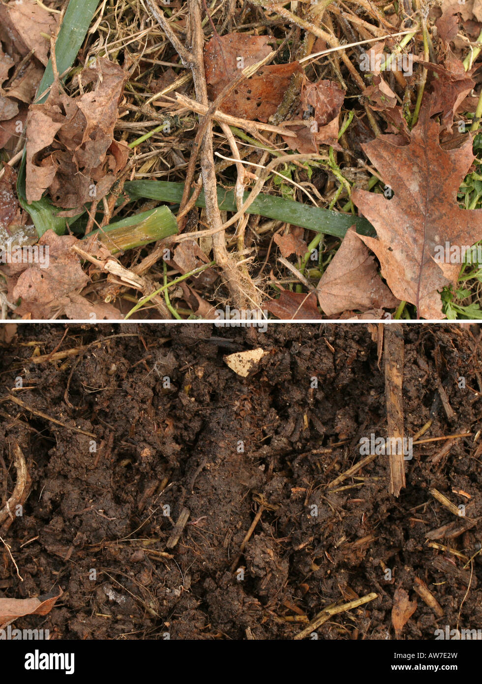 Kompost vor (oben) und nach (unten) Stockfoto