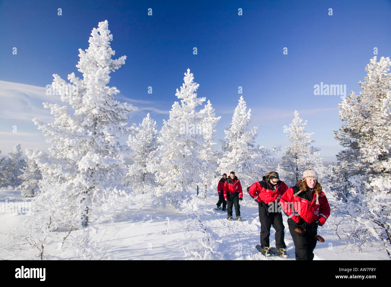 Eine Gruppe Schneeschuhwanderungen in der Urho Kehkkosen National Park in der Nähe von Saariselkä Nordfinnland Stockfoto