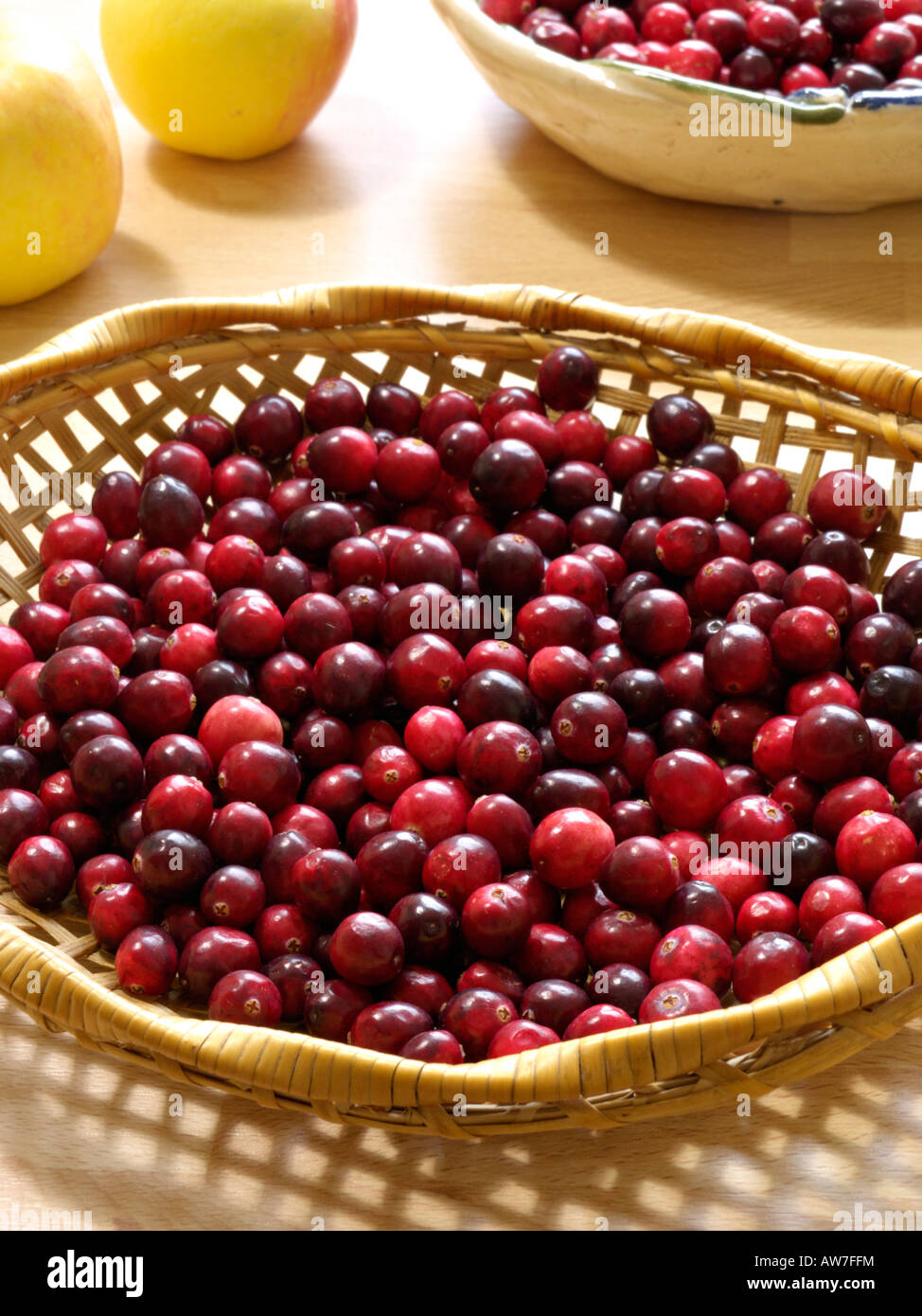 Cranberry (Vaccinium macrocarpon) Stockfoto
