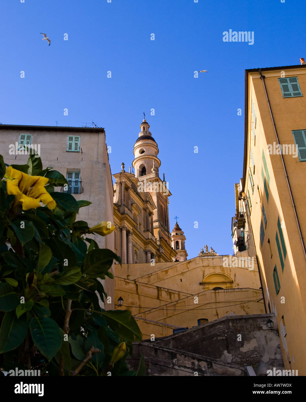 Eine Ansicht des grand Église St-Michel (St. Michaelis-Kirche) in Menton, Frankreich. Stockfoto