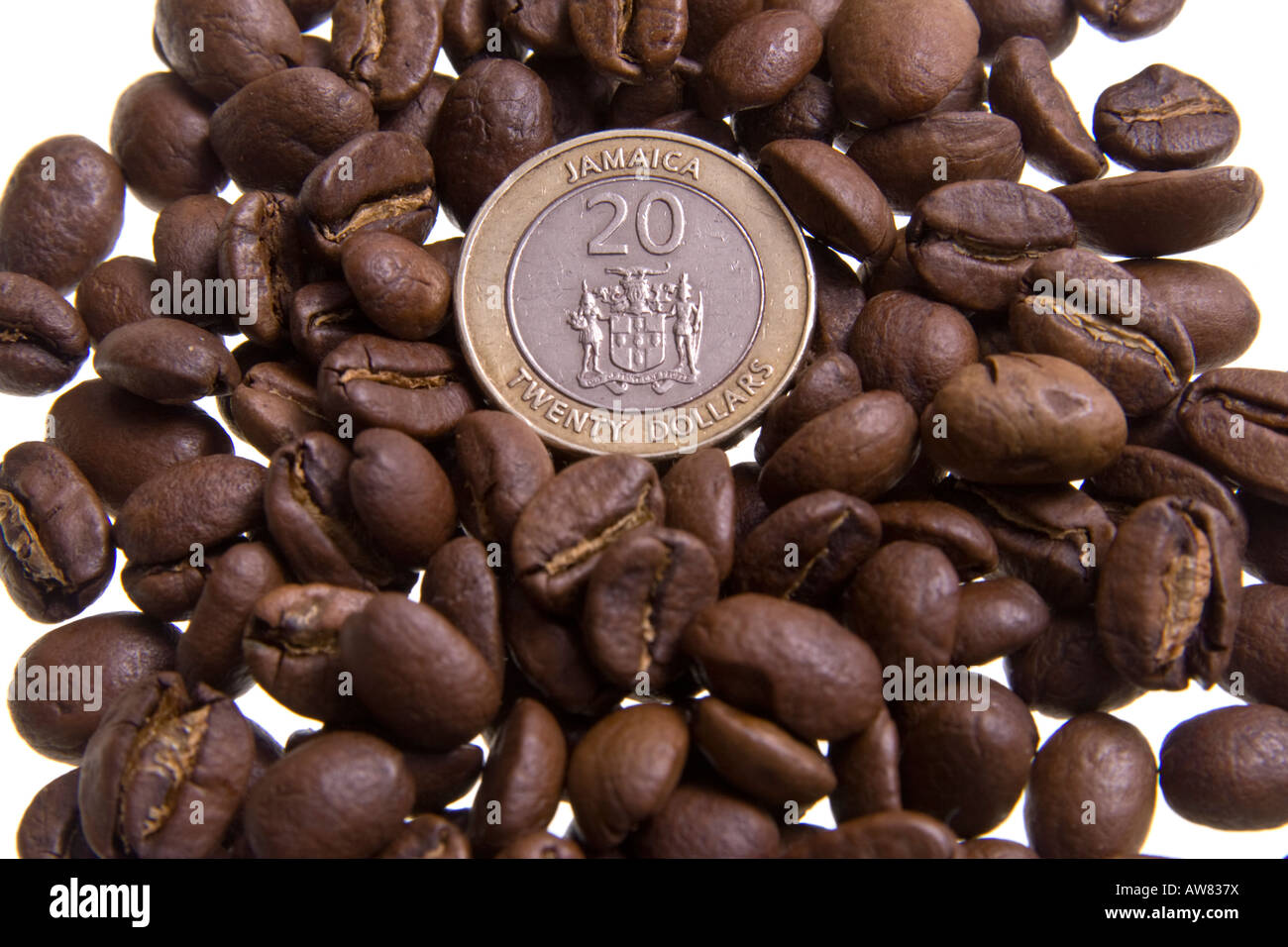 Jamaica Blue Mountain Kaffee geröstet Stockfoto