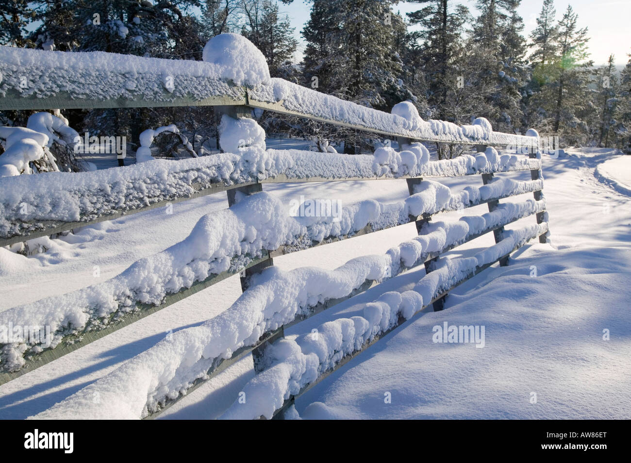 Winter in Saariselkä nördlichen Finnland Klimawandel hat bereits Durchschnittstemperaturen von 0 7 oC im letzten Jahrhundert Stockfoto