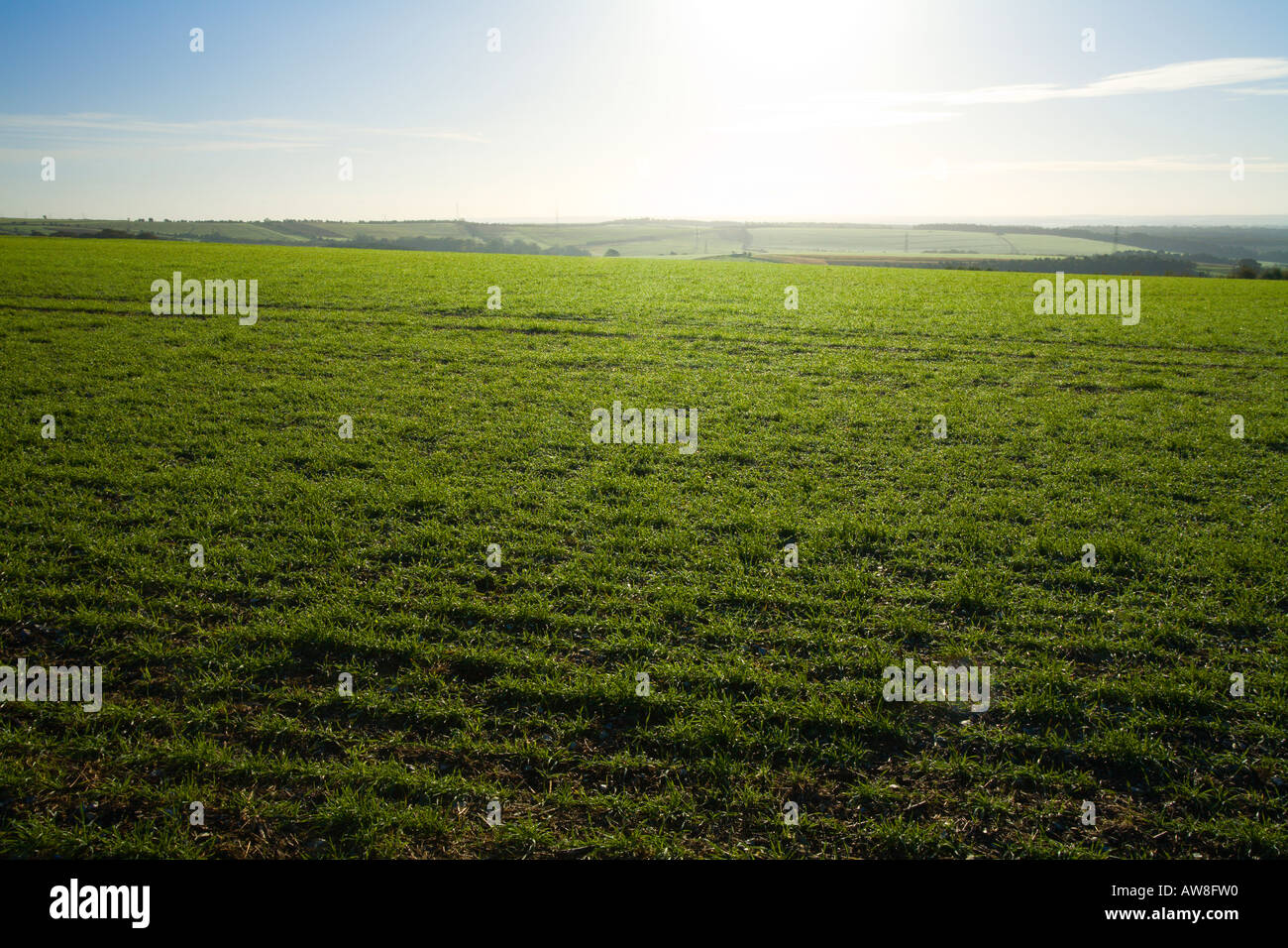 Wayfarer s überqueren große Litchfield unten AONB in der Nähe von alten Bughclere Hampshire UK Stockfoto Wayfarer s überqueren große Litchfield unten AONB in der Nähe von alten Bughclere Hampshire UK Stockfoto