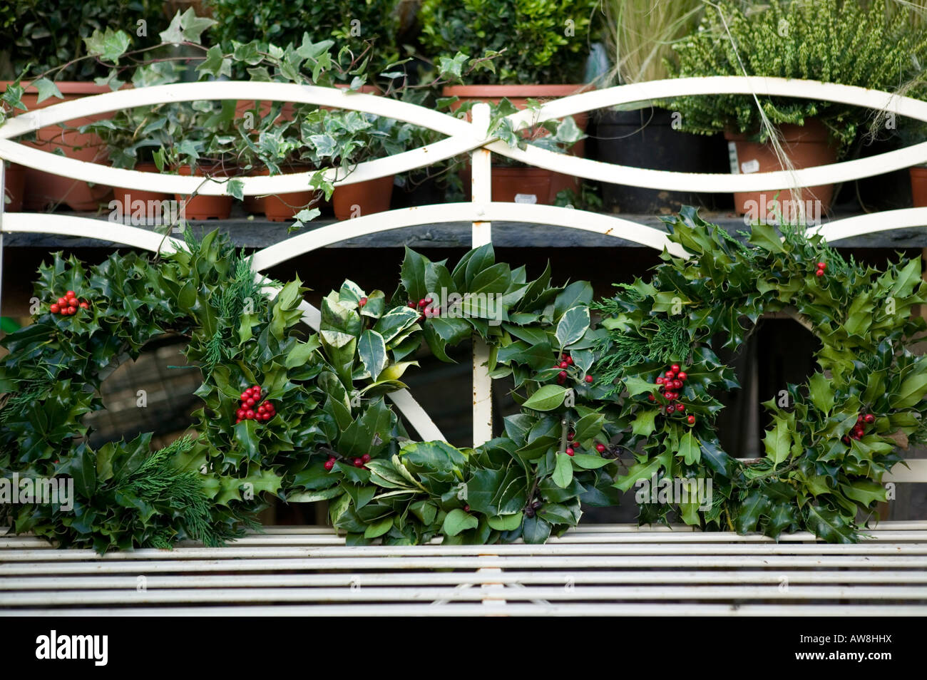 Weiße Gartenbank mit drei Holly Kränze in Folge Stockfoto