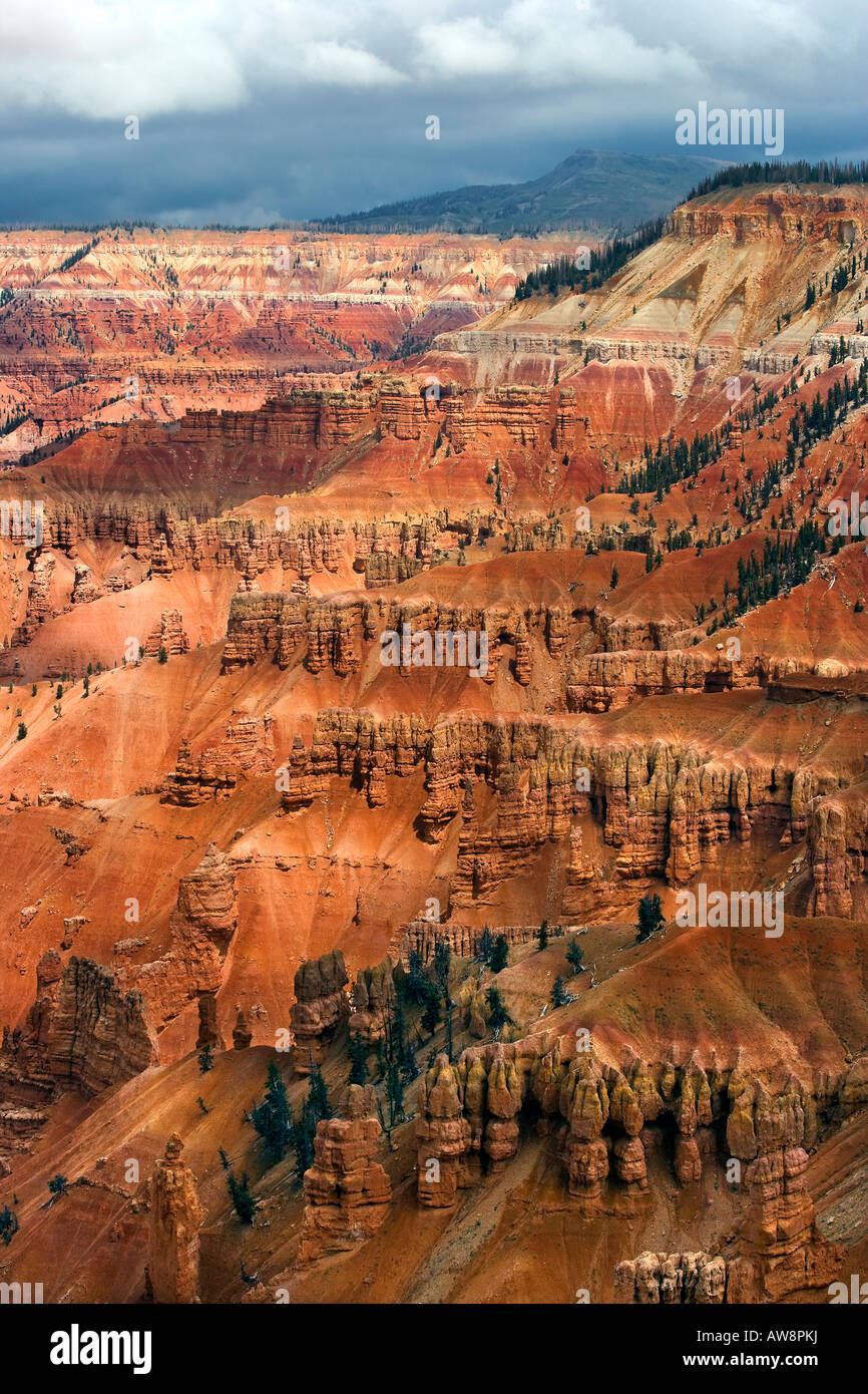 Cedar Breaks National Monument-Utah Stockfoto