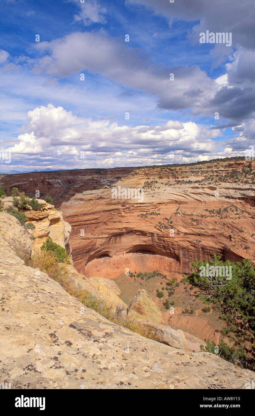 Mummy Cave Ruin im Canyon Del Muerto Canyon de Chelly National Monument Arizona Stockfoto