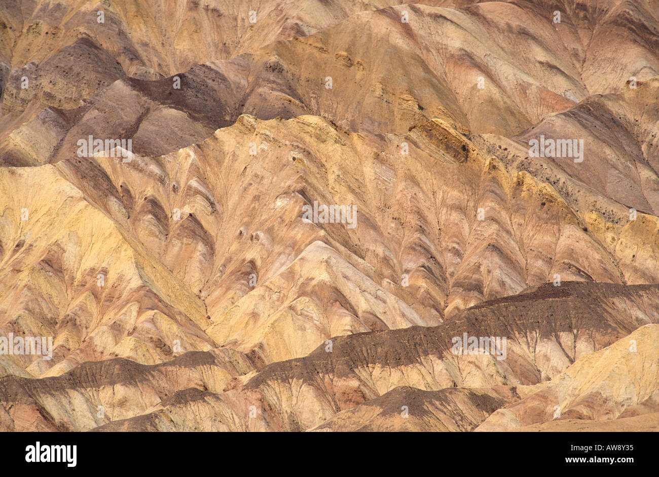 Marmoriertes Muster in Sedimentgestein entlang der Zabriskie Point Trail Death Valley Nationalpark Kalifornien Stockfoto