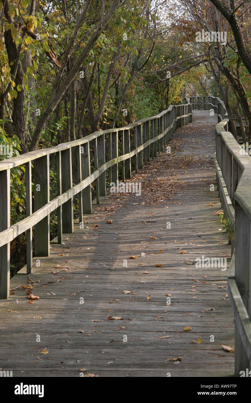 Park Herbst ländliche Naturbrücke ländliche Ohio in den USA Hi-res Stockfoto