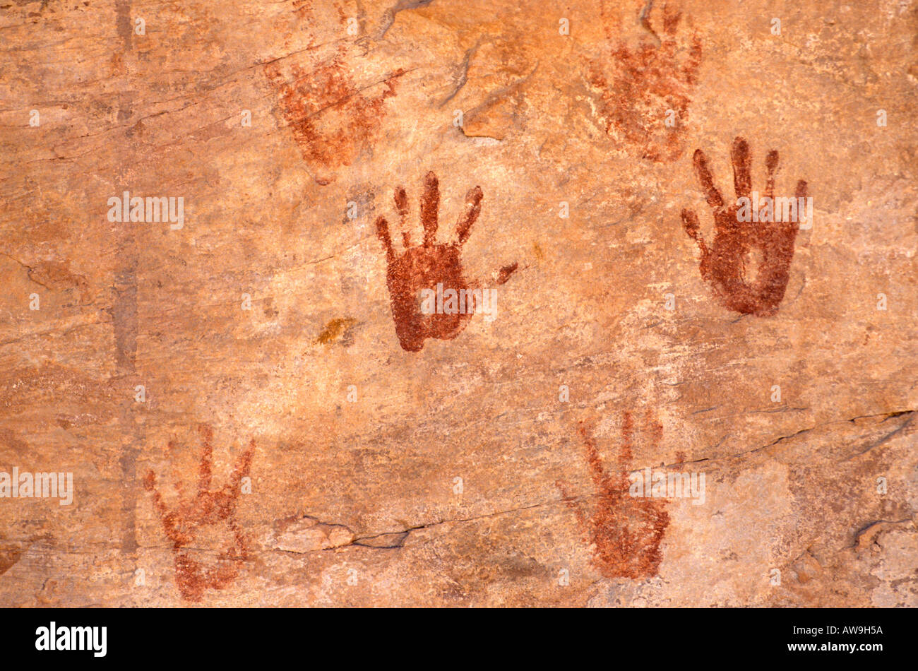 Anasazi Hand druckt an Türkei Stift Ruine Grand Gulch Primitive Gebiet Utah Stockfoto