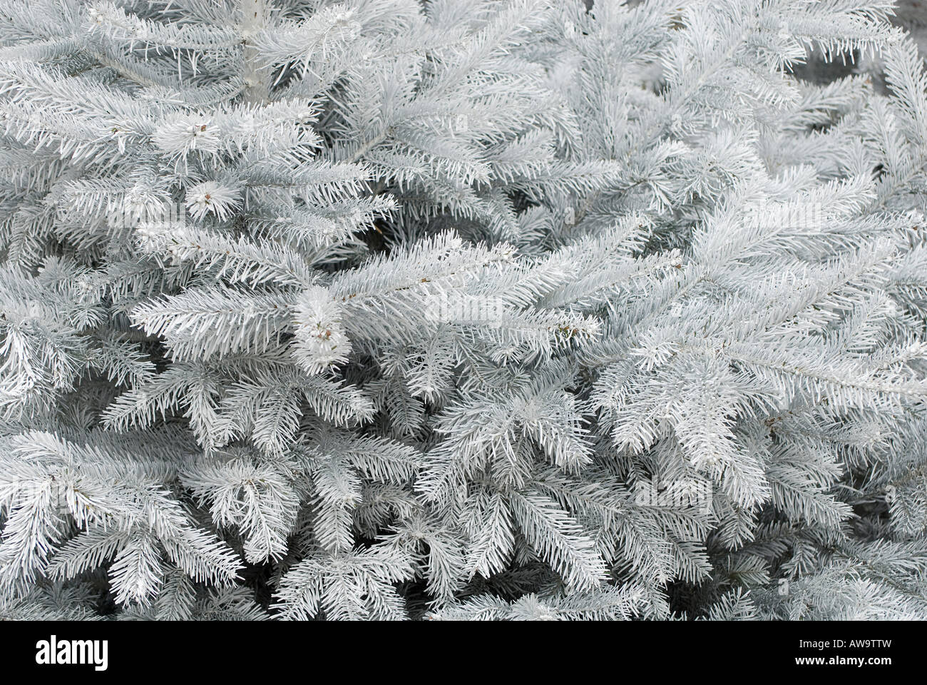 Knstlicher weihnachtsbaum mit schnee -Fotos und -Bildmaterial in hoher  Auflsung  Alamy