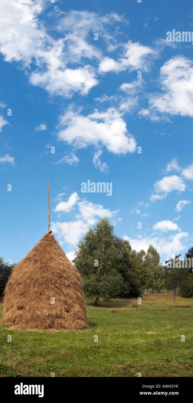 Sommer grünen Bergwiese mit Stapeln von Heu. Zwei Schüsse vertikale zusammengesetztes Bild. Stockfoto