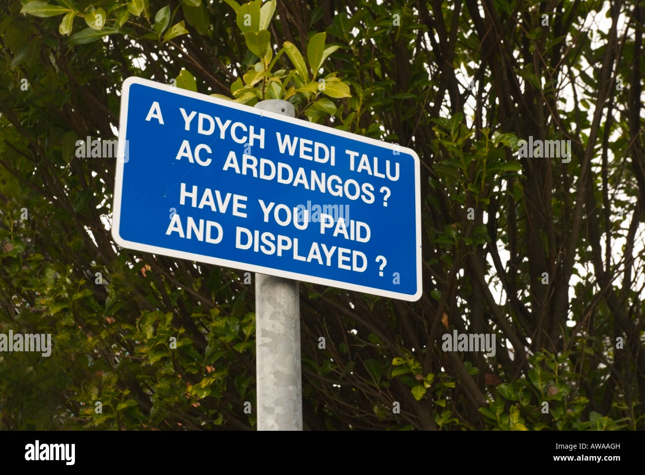Walisische und englische Sprache, gebührenpflichtige Parkplätze. Gwynedd, Nordwales Stockfoto