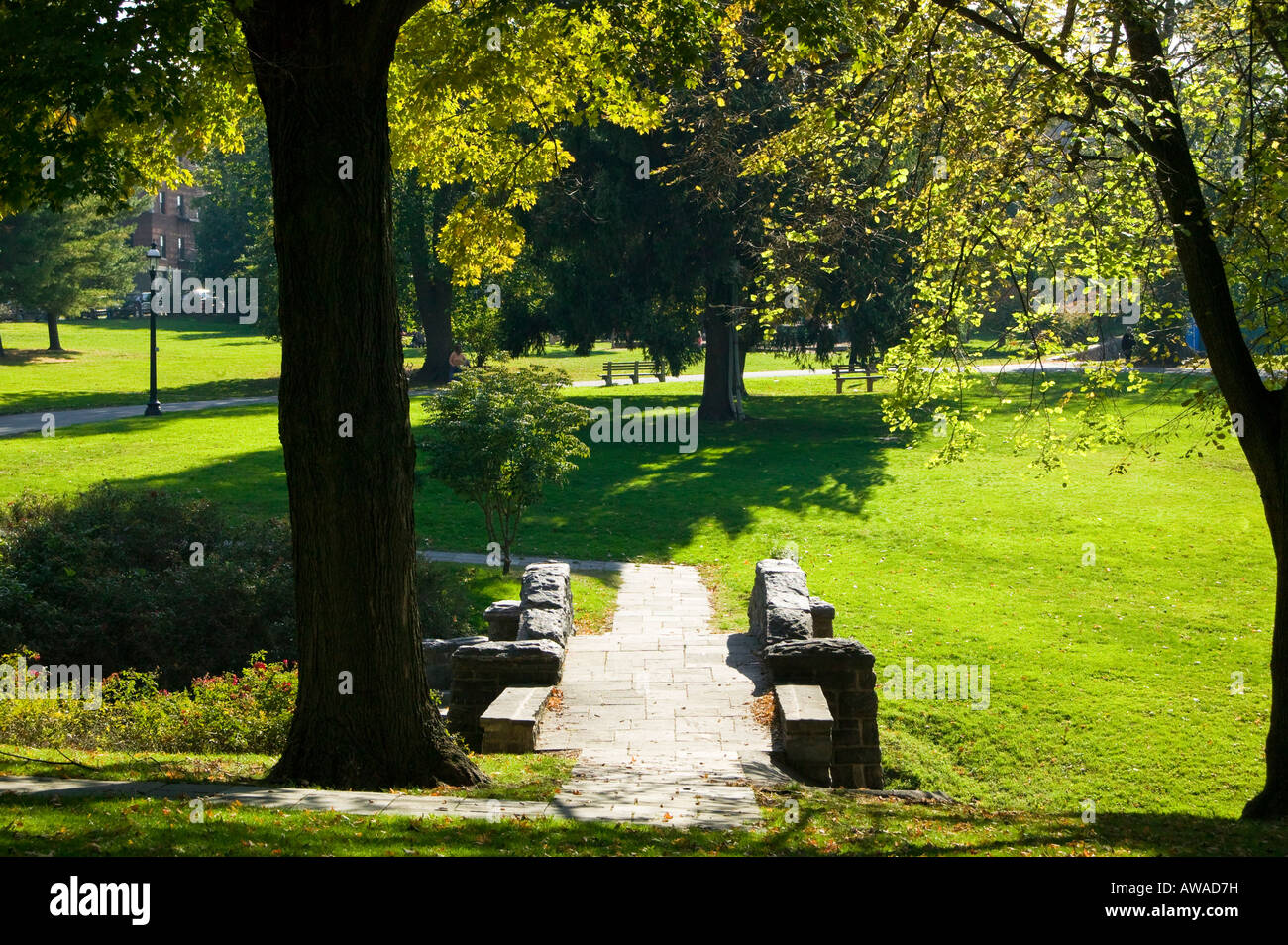 Stone Bridge, Tarrytown, Westchester, New York Stockfoto