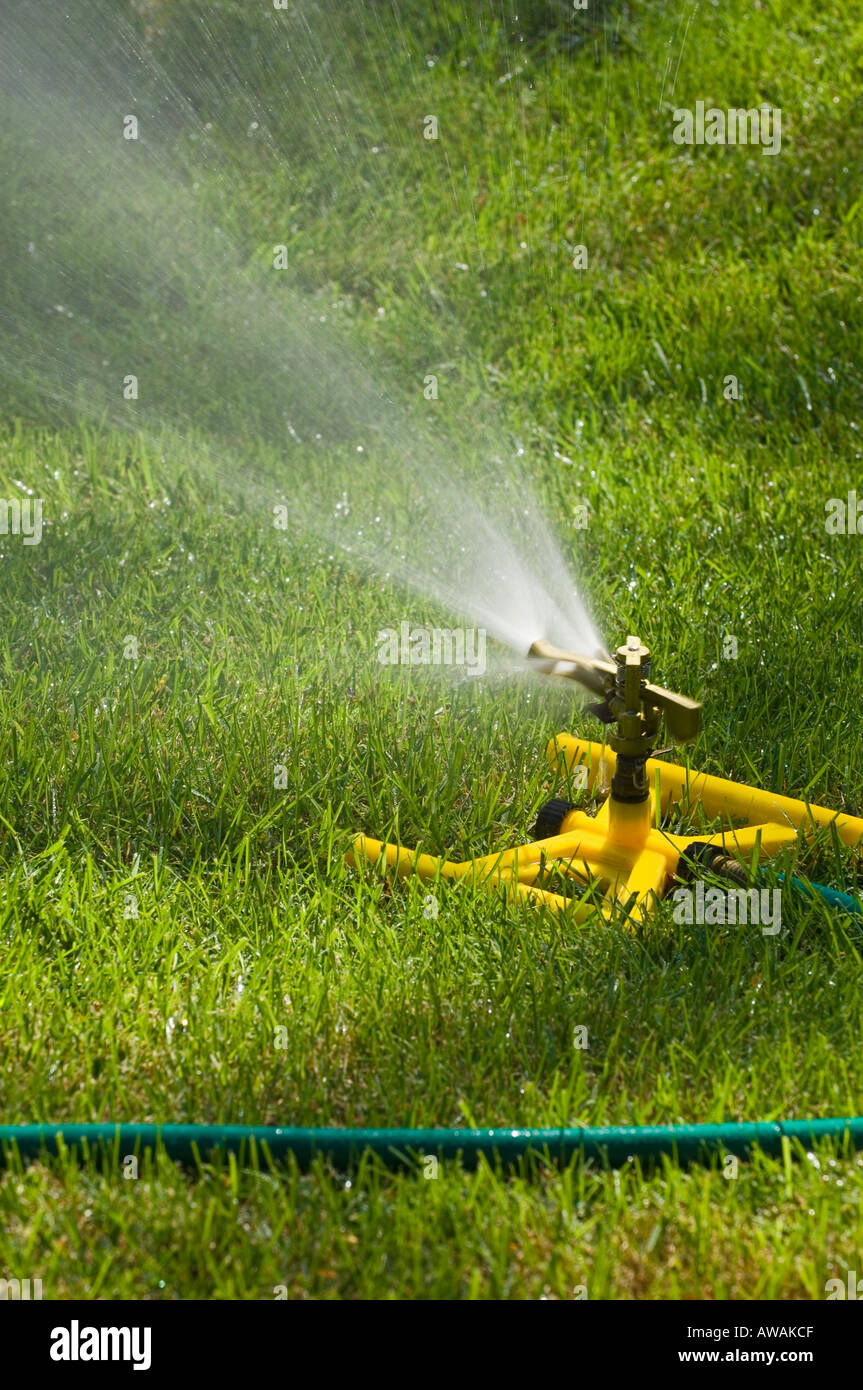Auf einem grünen Rasen Sprenger Stockfoto