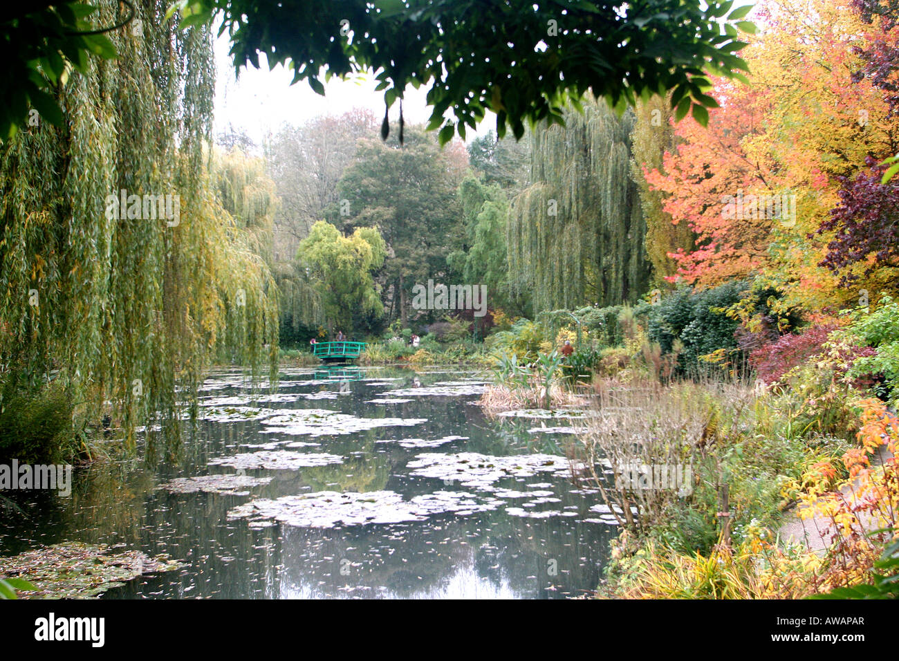 Herbst in Garten Giverny Normandie Frankreich Stockfotografie