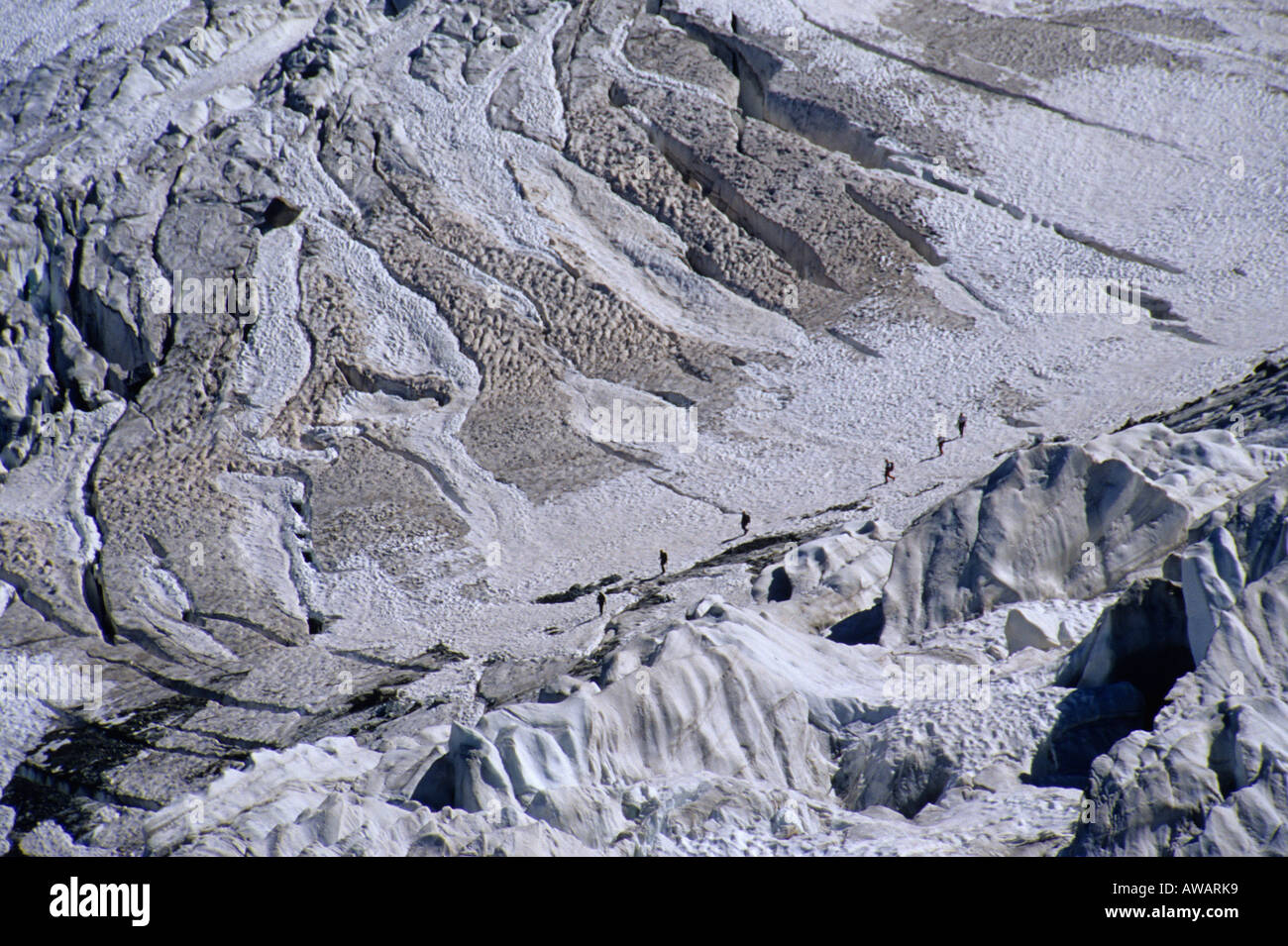 Bergsteiger über einen Gletscher unter Gletscherspalten, Gran Paradiso, Italien. Stockfoto