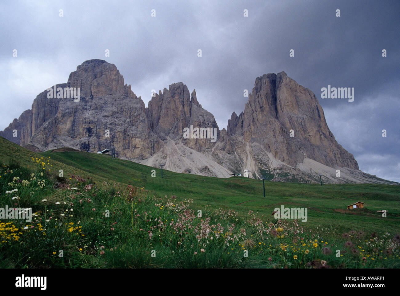 Langkofel und Sassopiatto Berge aus betrachtet, in der Nähe von Passo Sella, Dolomiten, Italien Stockfoto